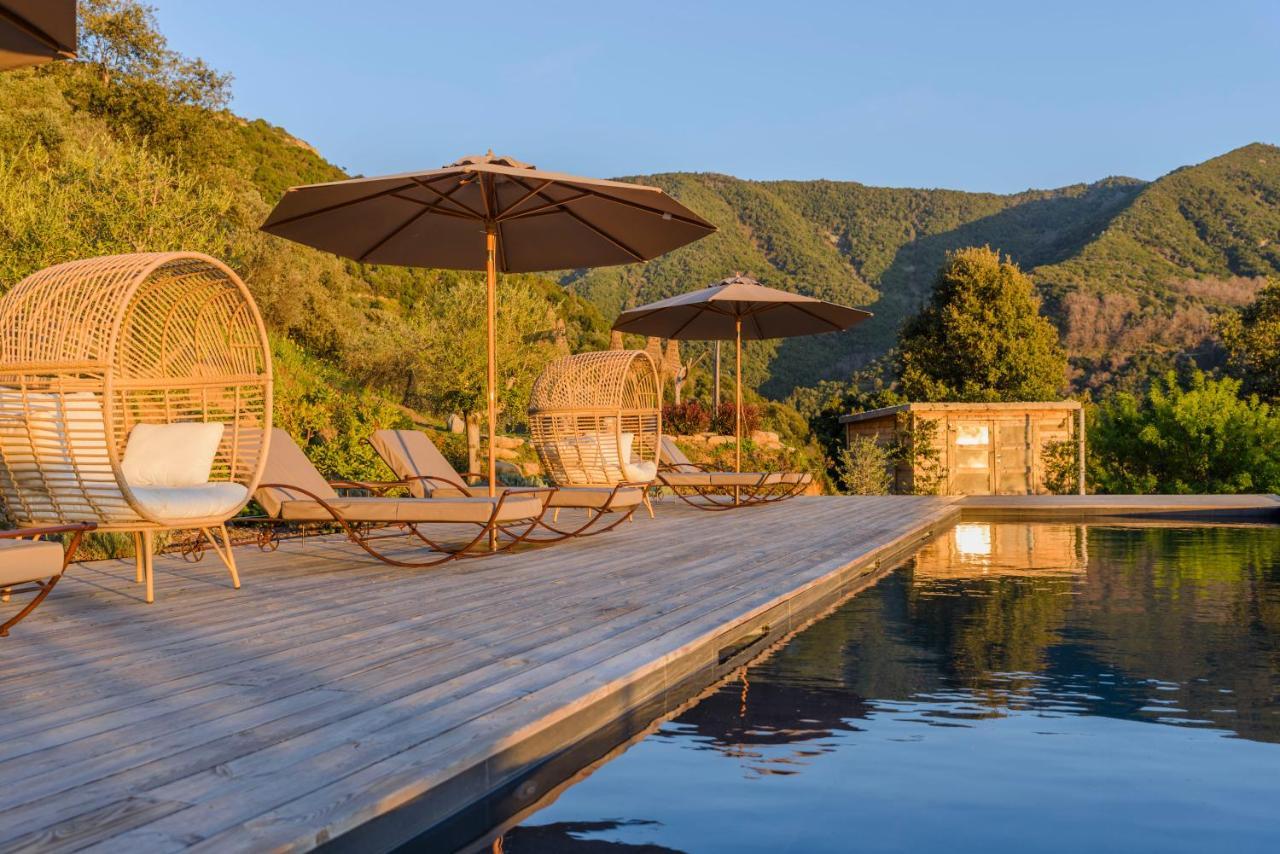 Terre De Maquis, Maison D'Hotes Vue Mer Corse Sari-D'orcino Dış mekan fotoğraf